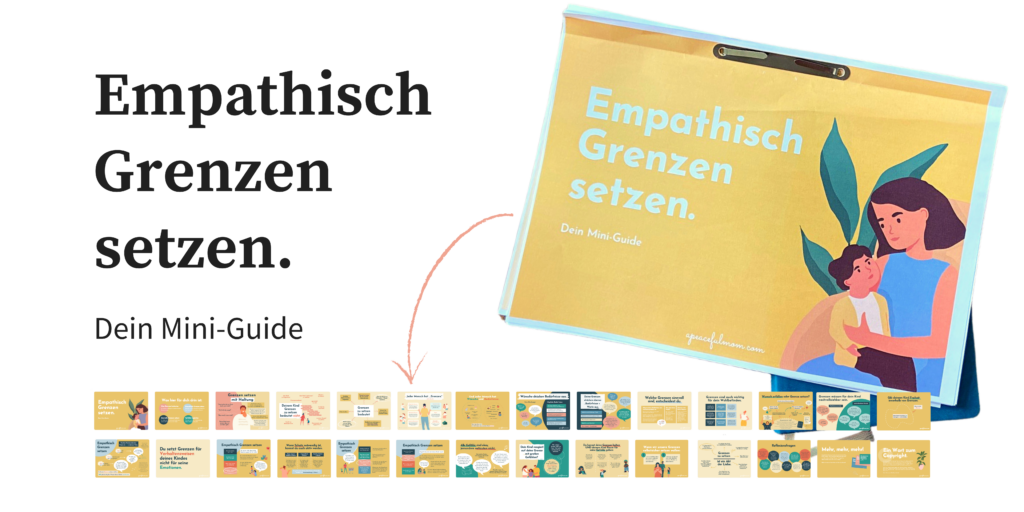 Grenzen setzen e-Book